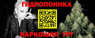 СК Гусев