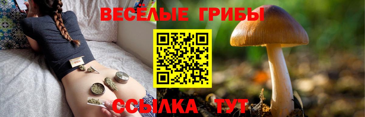 Псилоцибиновые грибы Magic Shrooms  Вход с VPN  Новоалтайск 